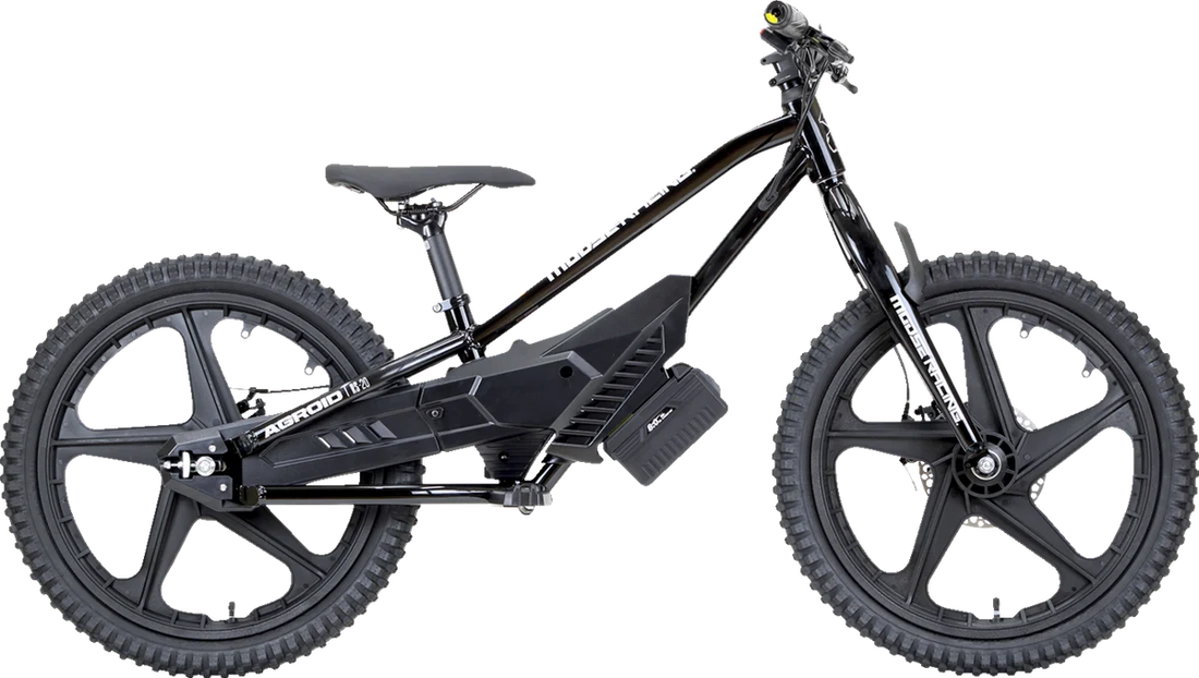 Moose Offroad RS-20 E-Bike - Agroid - Balance X02-A0101S - Installation View