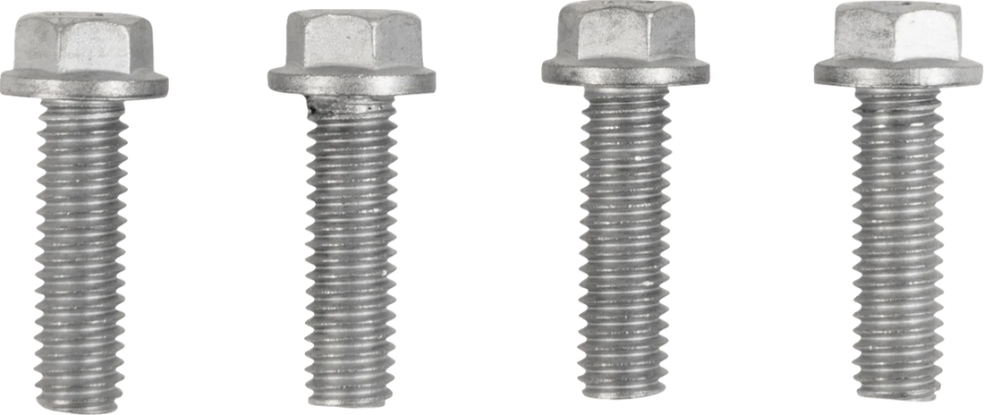 Moose Offroad Radiator Guards - Silver - Triumph 12-2024 - Back View