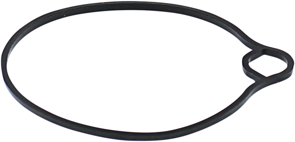 Moose Offroad Replacement Float Bowl Gasket 46-5022 fits Arctic CAT / Kawasaki - Main Product View