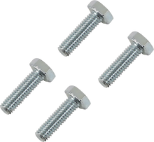 Load image into Gallery viewer, Moose Offroad Rotor Bolts - Front - 039-6A07 fits Honda - Main Product View