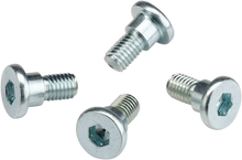 Load image into Gallery viewer, Moose Offroad Rotor Bolts - Rear - 039-6A02 fits Honda / TM - Main Product View