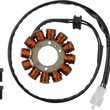 Load image into Gallery viewer, Moose Offroad Stator M-21-0095 fits Gas Gas - Main Product View
