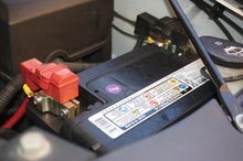 Load image into Gallery viewer, Moose Offroad Terminal Tender Round Posts TT-MM - Back View