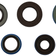 Load image into Gallery viewer, Moose Offroad Transaxle Seal Kit 25-2085-5 fits Polaris - Side View