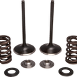 Load image into Gallery viewer, Moose Offroad Valve and Spring Kit - Exhaust - Honda M30-34360 - Main Product View