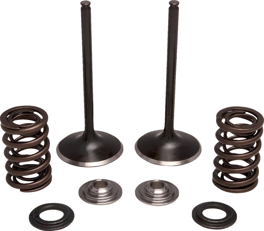 Moose Offroad Valve and Spring Kit - Exhaust - Honda M30-34360 - Main Product View