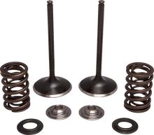 Load image into Gallery viewer, Moose Offroad Valve and Spring Kit - Exhaust - Honda M30-34360 - Main Product View