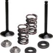 Load image into Gallery viewer, Moose Offroad Valve and Spring Kit - Exhaust - Yamaha M80-83060 - Main Product View