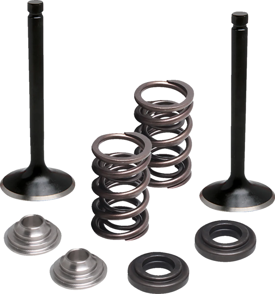 Moose Offroad Valve and Spring Kit - Exhaust - Yamaha M80-83060 - Main Product View