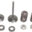 Load image into Gallery viewer, Moose Offroad Valve and Spring Kit - Honda TRX450R | TRX450ER | CRF450R M30-31210 - Main Product View