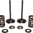 Load image into Gallery viewer, Moose Offroad Valve and Spring Kit - Intake - Honda M30-34250 - Main Product View