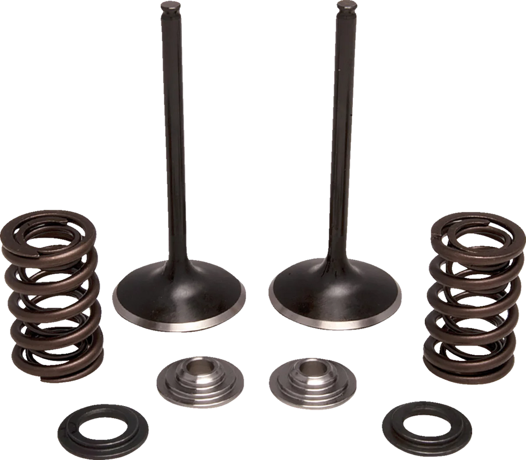 Moose Offroad Valve and Spring Kit - Intake - Honda M30-34250 - Main Product View