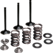 Load image into Gallery viewer, Moose Offroad Valve and Spring Kit - Intake - Yamaha M80-83050 - Main Product View
