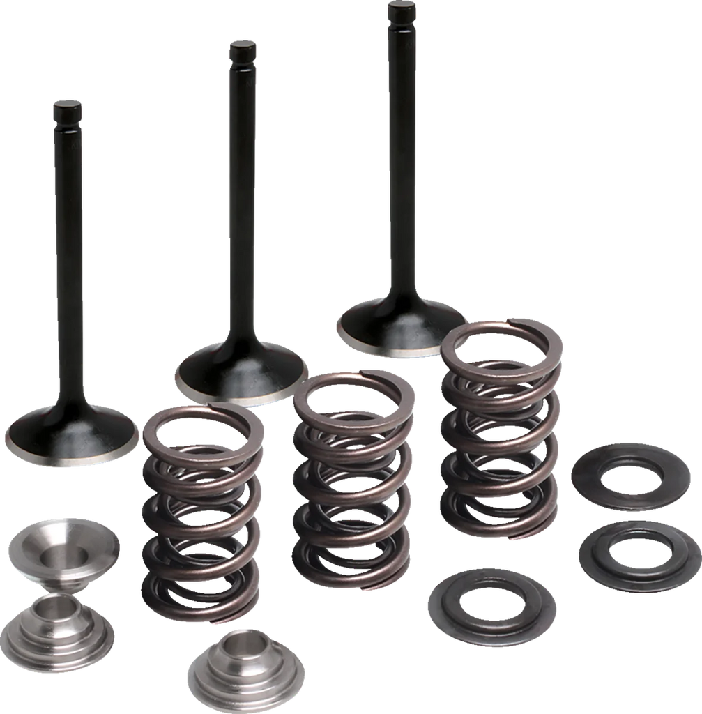 Moose Offroad Valve and Spring Kit - Intake - Yamaha M80-83050 - Main Product View