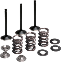 Load image into Gallery viewer, Moose Offroad Valve and Spring Kit - Intake - Yamaha M80-83050 - Main Product View