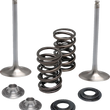 Load image into Gallery viewer, Moose Offroad Valve and Spring Kit - Intake - Yamaha M80-83050 - Side View