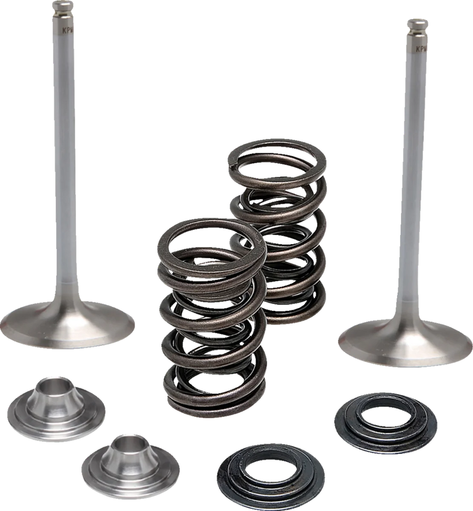 Moose Offroad Valve and Spring Kit - Intake - Yamaha M80-83050 - Side View