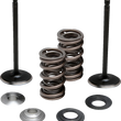 Load image into Gallery viewer, Moose Offroad Valve and Spring Kit - Intake - Yamaha M80-83150 - Main Product View