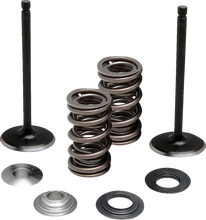 Load image into Gallery viewer, Moose Offroad Valve and Spring Kit - Intake - Yamaha M80-83150 - Main Product View