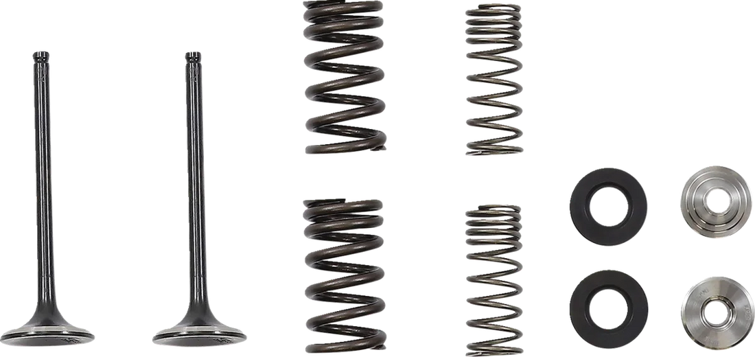Moose Offroad Valve and Spring Kit - M40-41660 fits Kawasaki KX250X - Side View