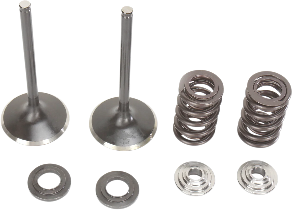 Moose Offroad Valve and Spring Kit - M60-60460 fits Suzuki RMZ450 - Main Product View