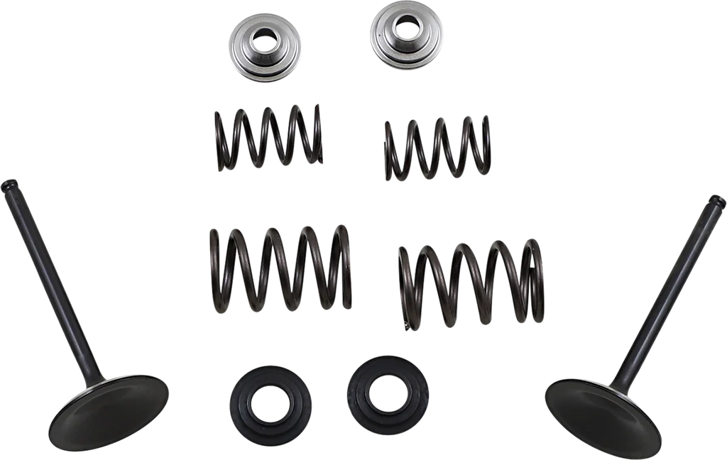 Moose Offroad Valve and Spring Kit - M60-60850 fits Suzuki LTR450 QUAD Racer - Main Product View