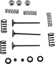 Load image into Gallery viewer, Moose Offroad Valve and Spring Kit - M80-80850 fits Yamaha WR250F - Main Product View