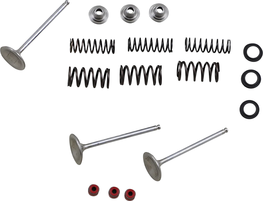 Moose Offroad Valve and Spring Kit - M80-80950 fits Yamaha WR450F - Main Product View