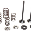 Load image into Gallery viewer, Moose Offroad Valve and Spring Kit - M96-96460 fits Ktm 250sx-f / 250xc-f / 250xcf-w - Main Product View