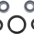 Load image into Gallery viewer, Moose Offroad Wheel Bearing Kit - Front - 25-1052 fits Honda / Yamaha - Main Product View