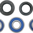 Load image into Gallery viewer, Moose Offroad Wheel Bearing Kit - Rear - 25-1066 fits Suzuki Dr 250 / Dr 350 / DR-Z 250 / DR-Z 350 - Main Product View