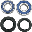 Load image into Gallery viewer, Moose Offroad Wheel Bearing Kit - Rear