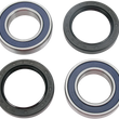 Load image into Gallery viewer, Moose Offroad Wheel Bearing Kit - Rear - 25-1124 fits Honda TRX 200 / Yamaha Grizzly 300 - Main Product View