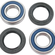 Load image into Gallery viewer, Moose Offroad Wheel Bearing Kit - Rear
