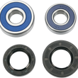 Load image into Gallery viewer, Moose Offroad Wheel Bearing Kit - Rear - 25-1206 fits Honda - Main Product View