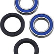 Load image into Gallery viewer, Moose Offroad Wheel Bearing Kit - Rear - 25-1313 fits Yamaha RAPTOR / Banshee / BLASTER - Main Product View