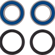 Load image into Gallery viewer, Moose Offroad Wheel Bearing Kit - Rear - 25-1832 fits Kayo Bull 200 - Side View
