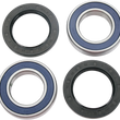 Load image into Gallery viewer, Moose Offroad Wheel Bearing Kit - Rear - Honda/Suzuki 25-1122 - Main Product View