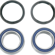 Load image into Gallery viewer, Moose Offroad Wheel Bearing Kit - Upgrade - Aftermarket Carrier - Rear 25-1401 - Main Product View