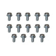 Load image into Gallery viewer, Moroso GM Powerglide Stamped Steel Transmission Pan Bolts - Set of 14