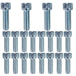 Load image into Gallery viewer, Moroso Small Block Ford 302/351W Fabricated Oil Pan Bolt Kit