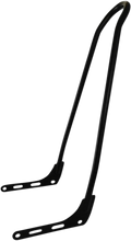 Load image into Gallery viewer, Motherwell One-Piece Sissy Bar - Black MWL-156T-18-MB - Main Product View