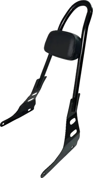 Motherwell One-Piece Sissy Bar - Gloss Black MWL-220-GB. - Main Product View