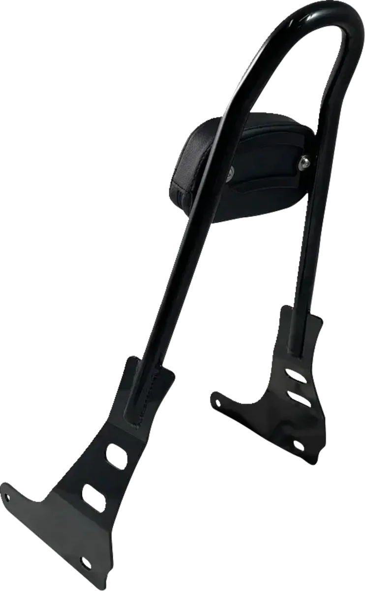 Motherwell One-Piece Sissy Bar - Gloss Black MWL-220-GB. - Side View