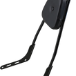 Load image into Gallery viewer, Motherwell One-Piece Sissy Bar - Gloss Black - Skull - With Pad 156T18-GB-SK-WP - Main Product View
