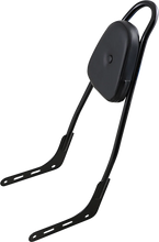 Load image into Gallery viewer, Motherwell One-Piece Sissy Bar - Gloss Black - Skull - With Pad 156T18-GB-SK-WP - Main Product View