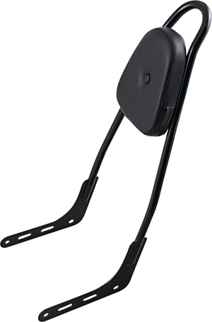 Motherwell One-Piece Sissy Bar - Gloss Black - Skull - With Pad 156T18-GB-SK-WP - Main Product View