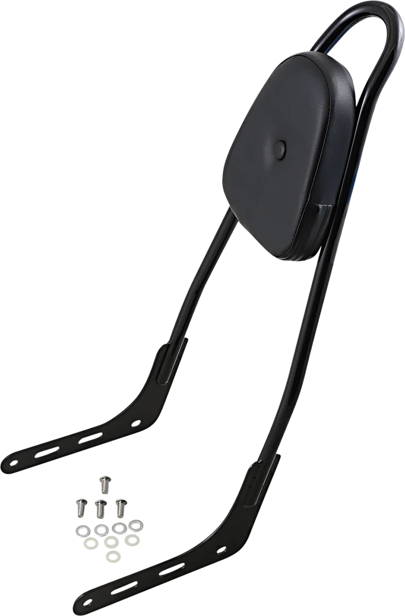 Motherwell One-Piece Sissy Bar - Gloss Black - Skull - With Pad 156T18-GB-SK-WP - Side View