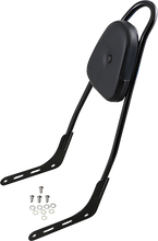 Load image into Gallery viewer, Motherwell One-Piece Sissy Bar - Gloss Black - Skull - With Pad 156T18-GB-SK-WP - Side View