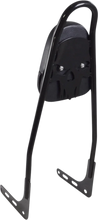 Load image into Gallery viewer, Motherwell One-Piece Sissy Bar - Gloss Black - Skull - With Pad 156T18-GB-SK-WP - Installation View